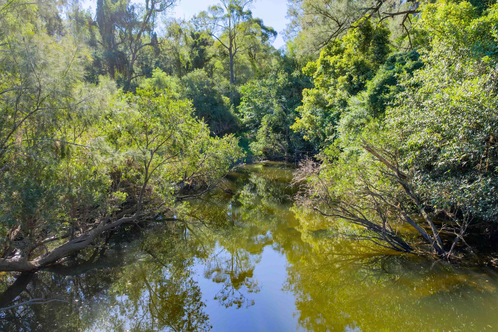 1476 Kandanga Creek Road, Upper Kandanga For Sale by Farmbuy.com - image 3