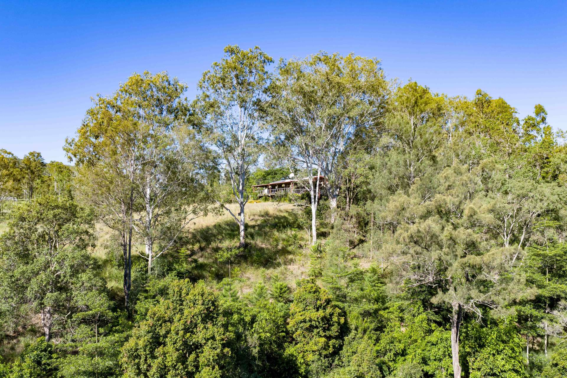 1476 Kandanga Creek Road, Upper Kandanga For Sale by Farmbuy.com - image 23