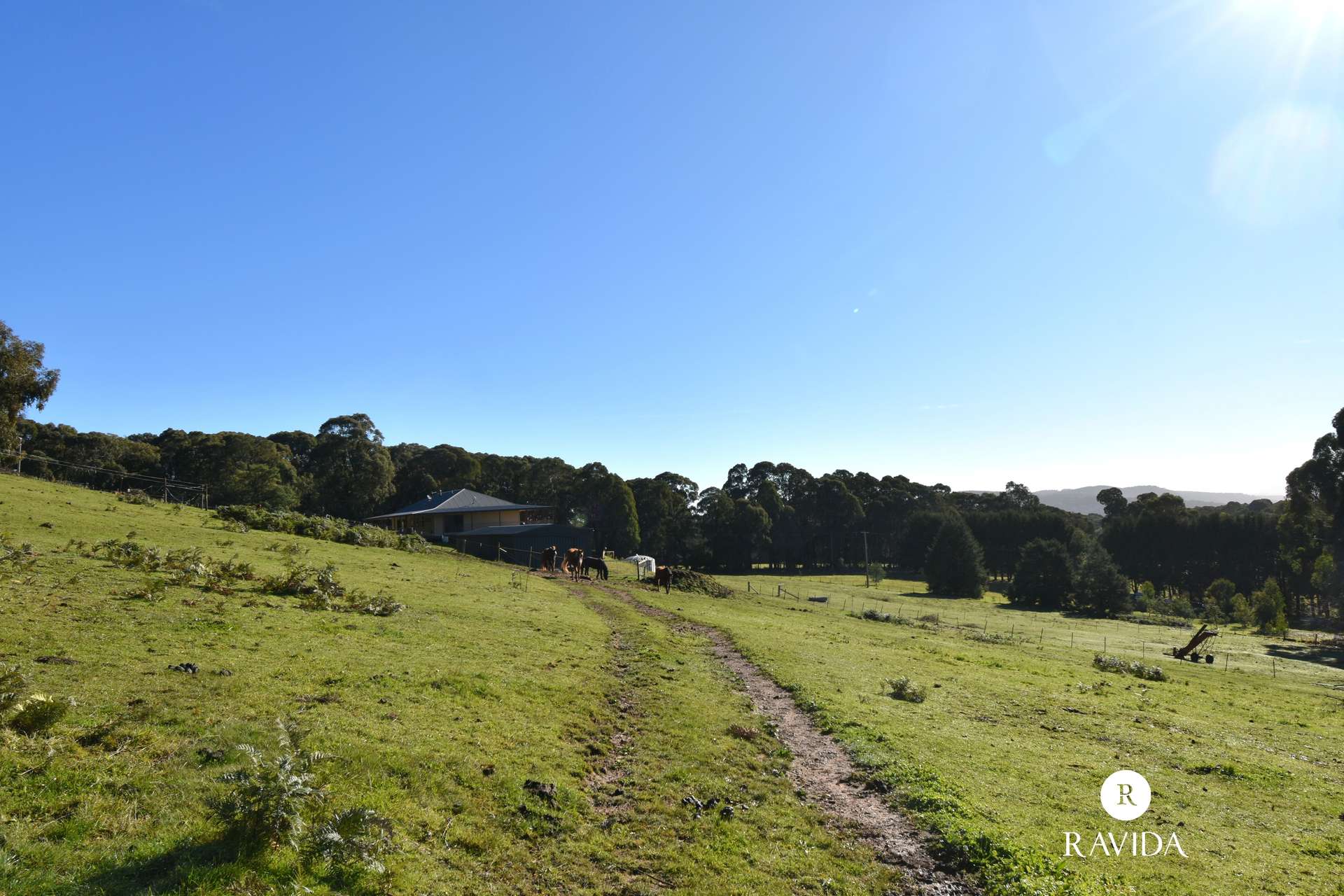 25 Duffy Lane, Stanley For Sale by Farmbuy.com - image 17