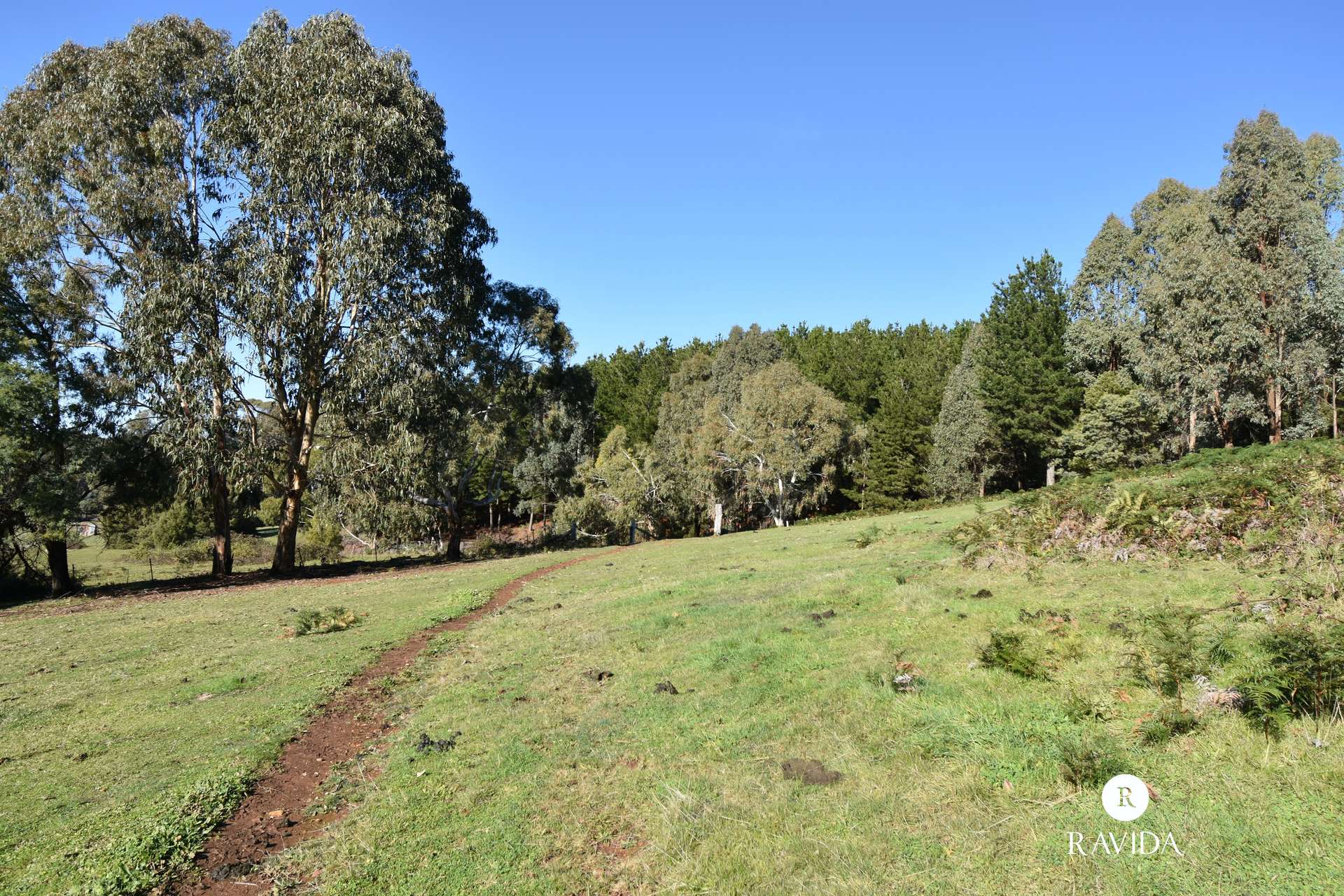 25 Duffy Lane, Stanley For Sale by Farmbuy.com - image 18