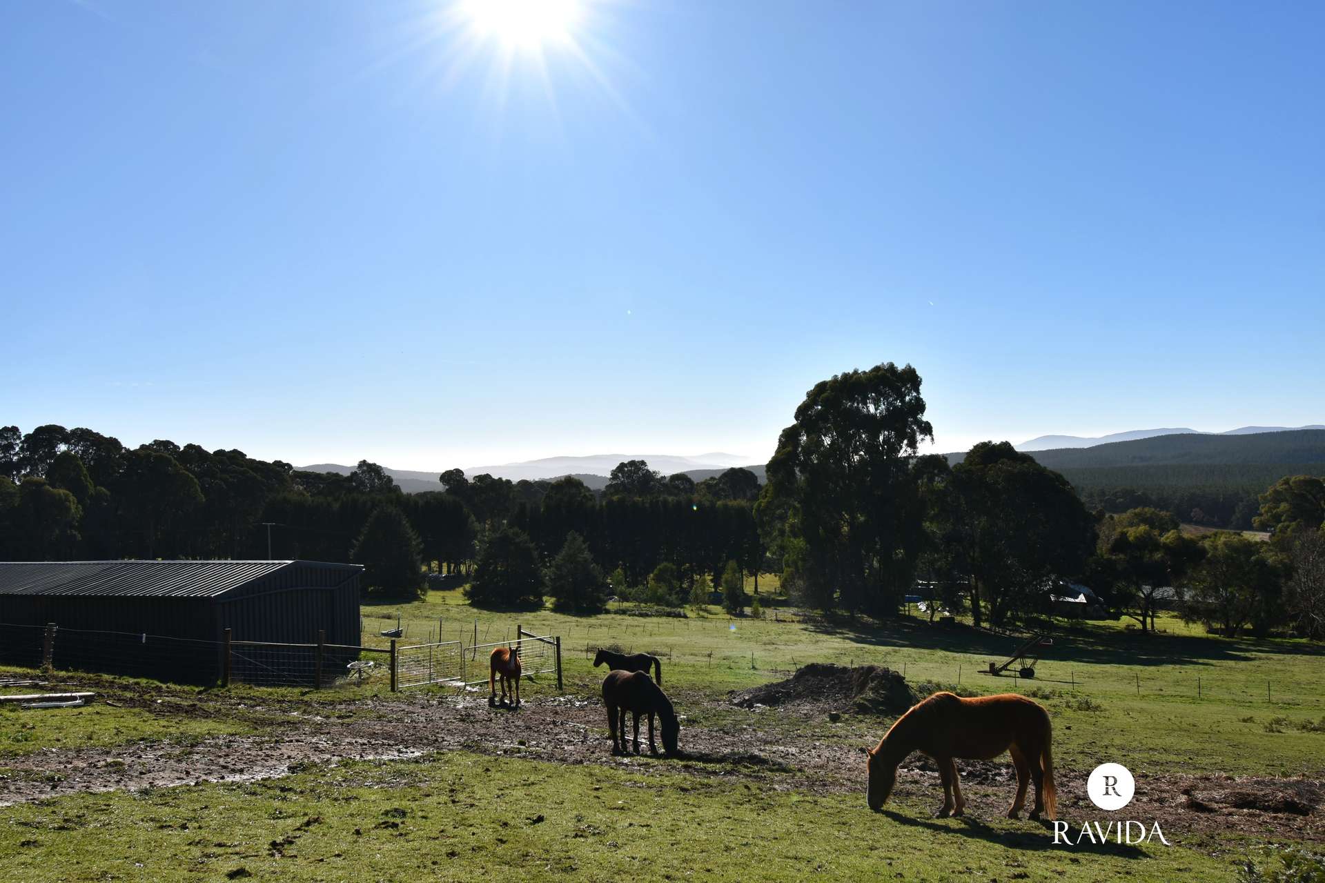 25 Duffy Lane, Stanley For Sale by Farmbuy.com - image 19
