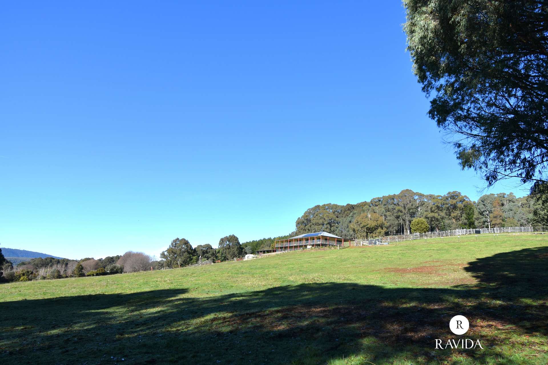 25 Duffy Lane, Stanley For Sale by Farmbuy.com - image 20