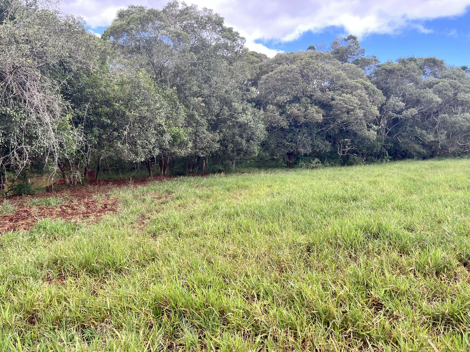Lot 2 Lake Barrine Road, Lake Eacham For Sale by Farmbuy.com - image 14
