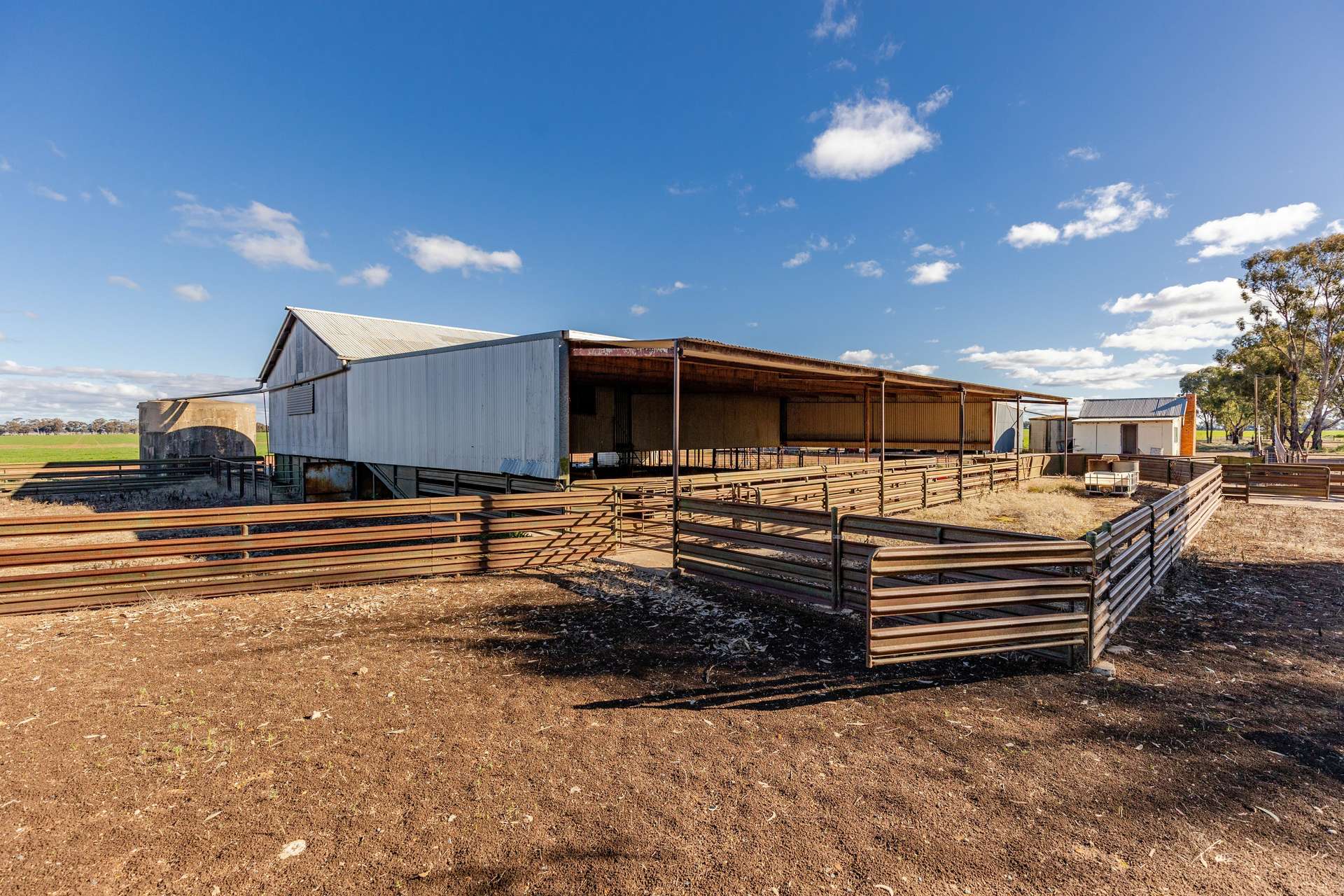 795 Younga Plains Road, West Wyalong Sold by Farmbuy.com - image 7