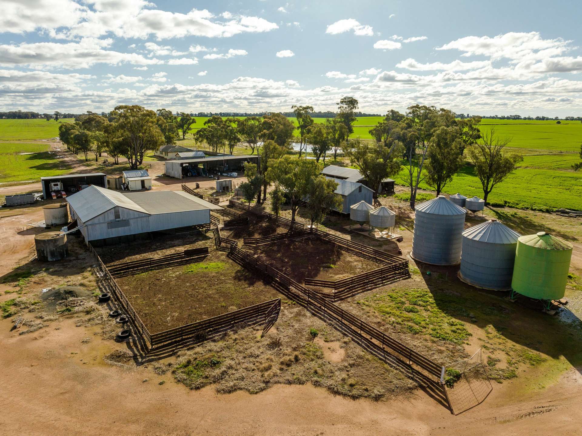 795 Younga Plains Road, West Wyalong Sold by Farmbuy.com - image 1