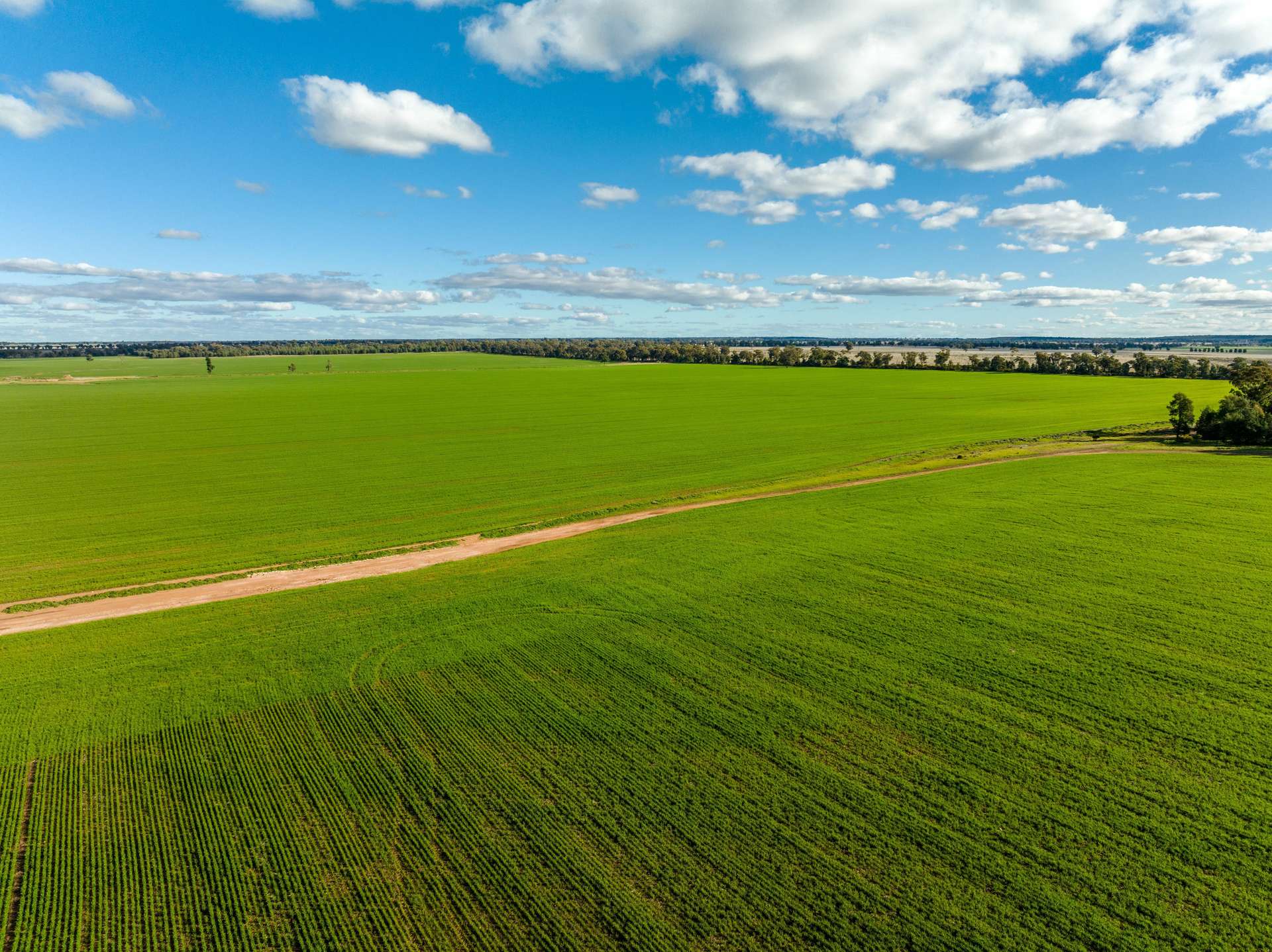 795 Younga Plains Road, West Wyalong Sold by Farmbuy.com - image 10