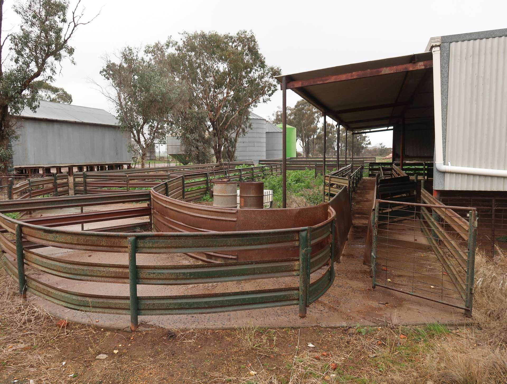 795 Younga Plains Road, West Wyalong Sold by Farmbuy.com - image 8