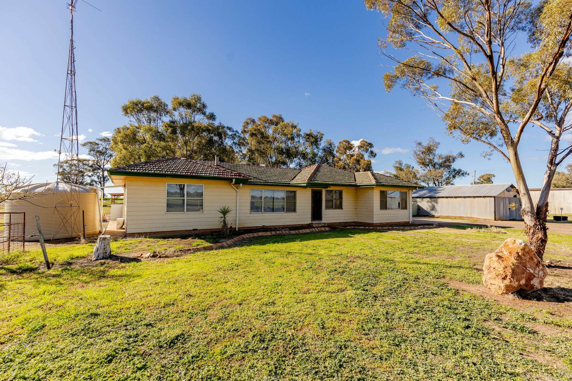 795 Younga Plains Road, West Wyalong Sold by Farmbuy.com - image 4