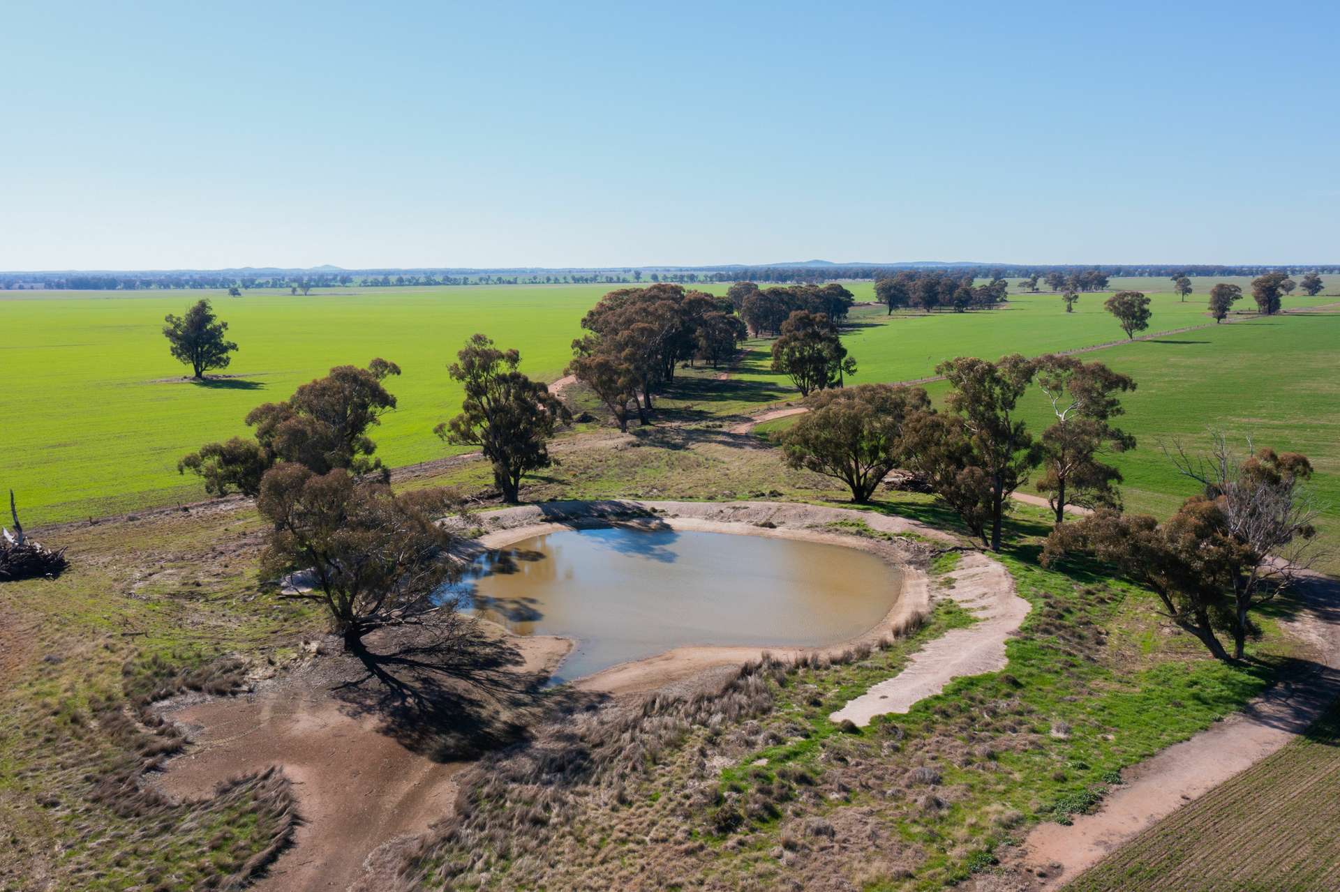 795 Younga Plains Road, West Wyalong Sold by Farmbuy.com - image 6