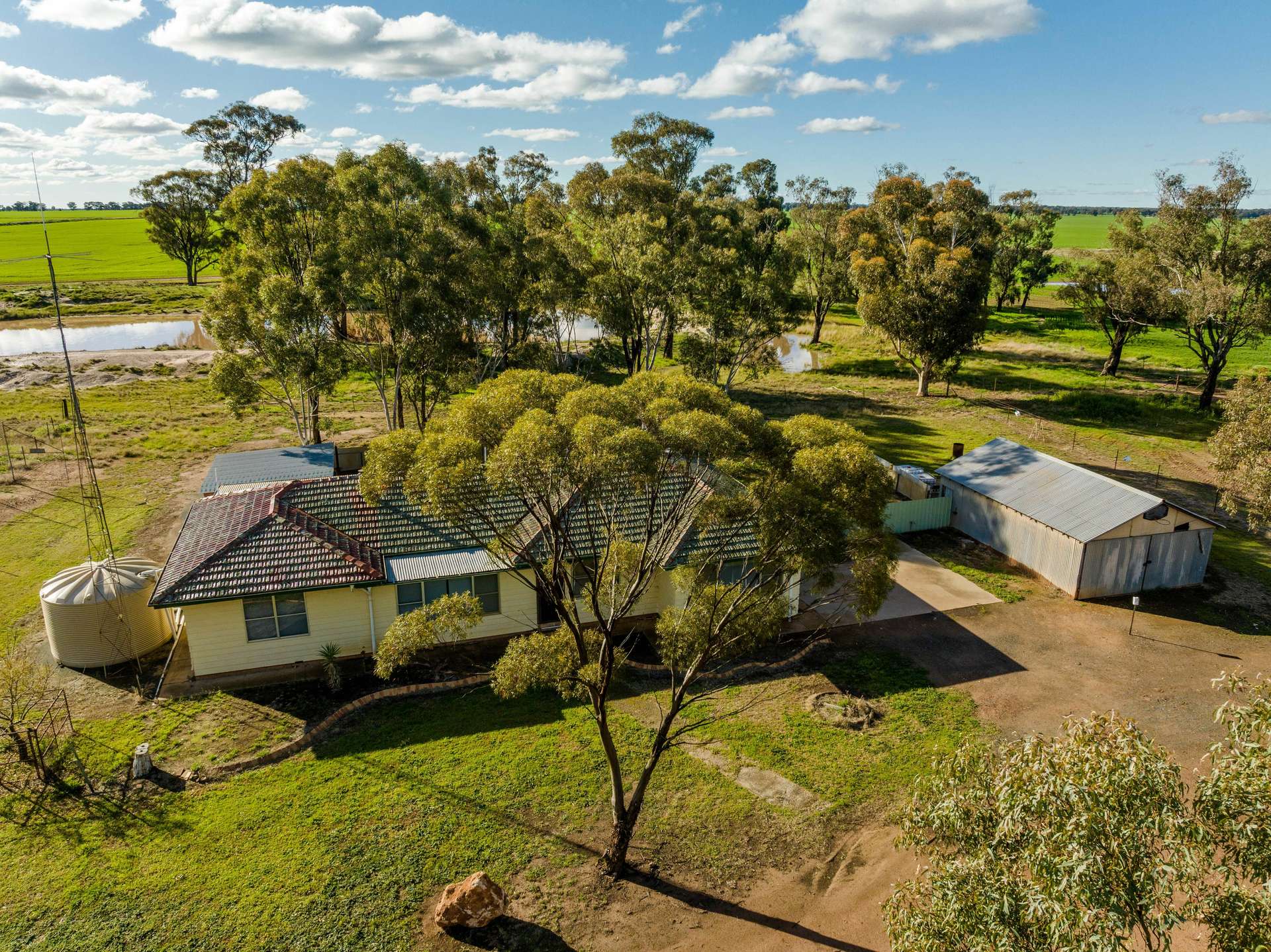 795 Younga Plains Road, West Wyalong Sold by Farmbuy.com - image 2