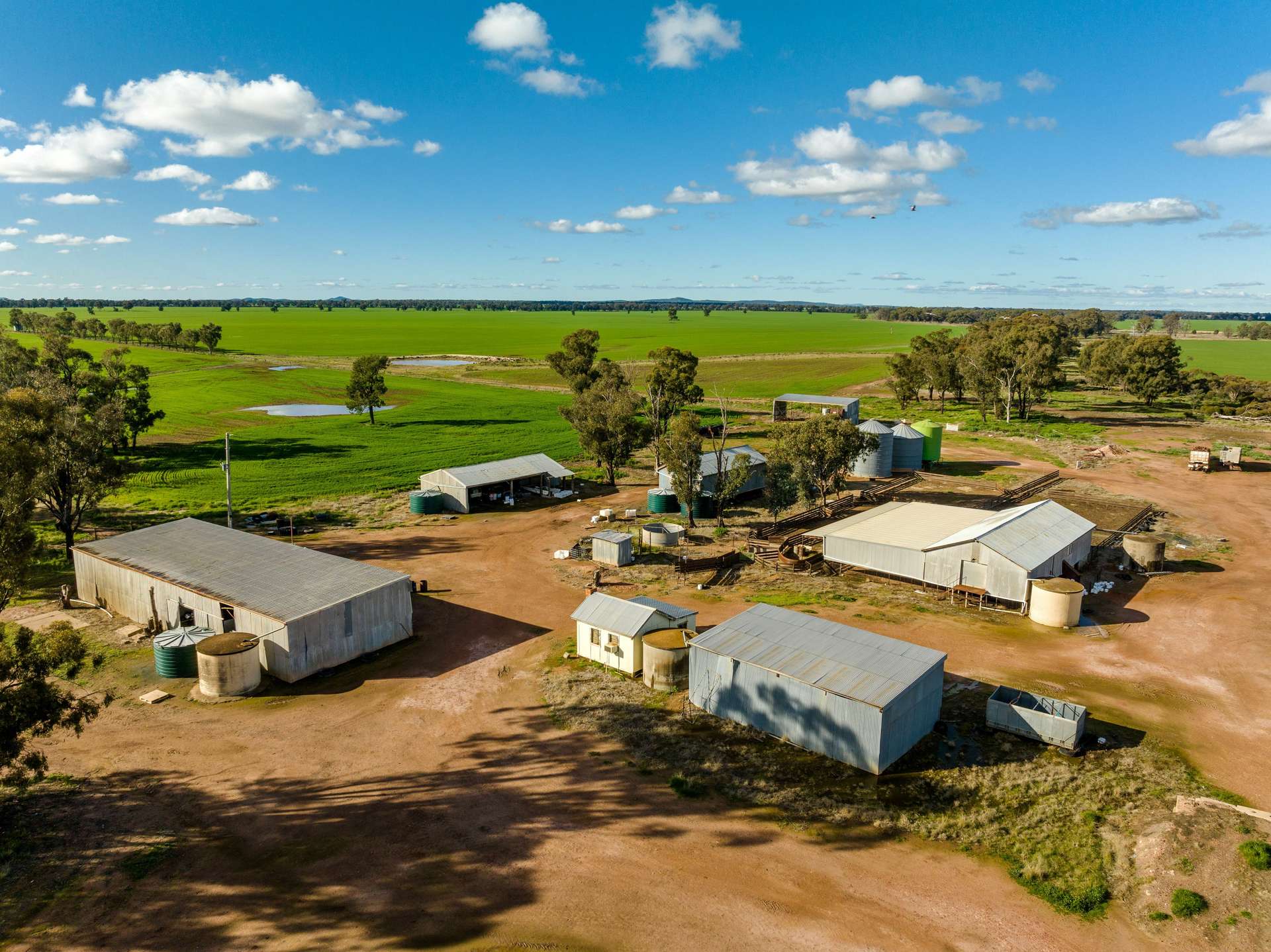 795 Younga Plains Road, West Wyalong Sold by Farmbuy.com - image 3