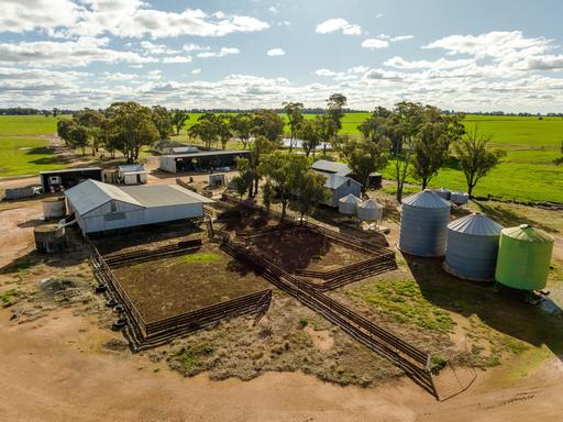 Farm Sold - NSW - West Wyalong - 2671 - 