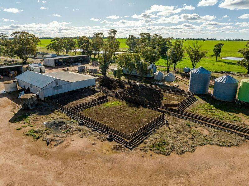 795 Younga Plains Road, West Wyalong Sold by Farmbuy.com - image 17