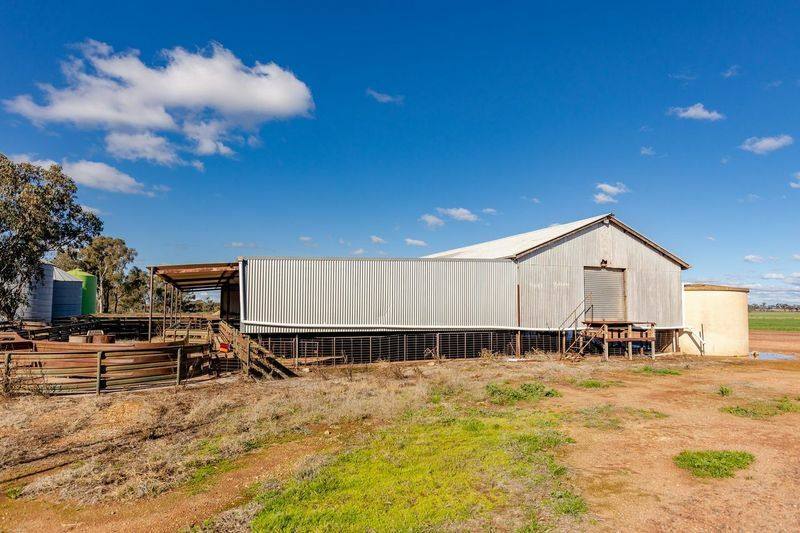 795 Younga Plains Road, West Wyalong Sold by Farmbuy.com - image 18