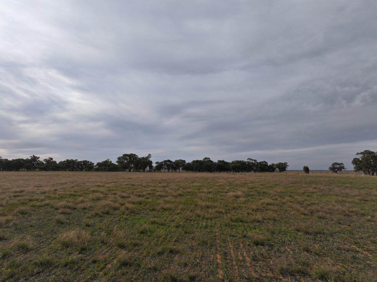 Lot CA, 157 Borung Hurstwood Road, Borung Sold by Farmbuy.com - image 7