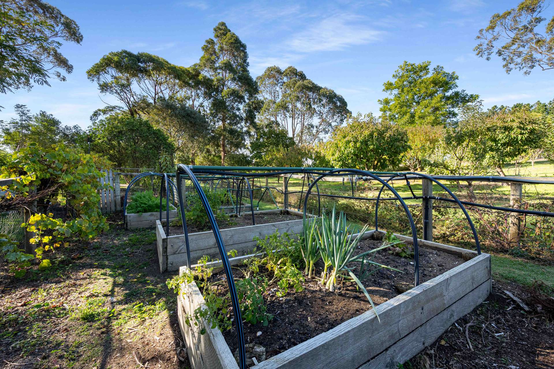 228 Ruwoldt Road, Yahl For Sale by Farmbuy.com - image 24