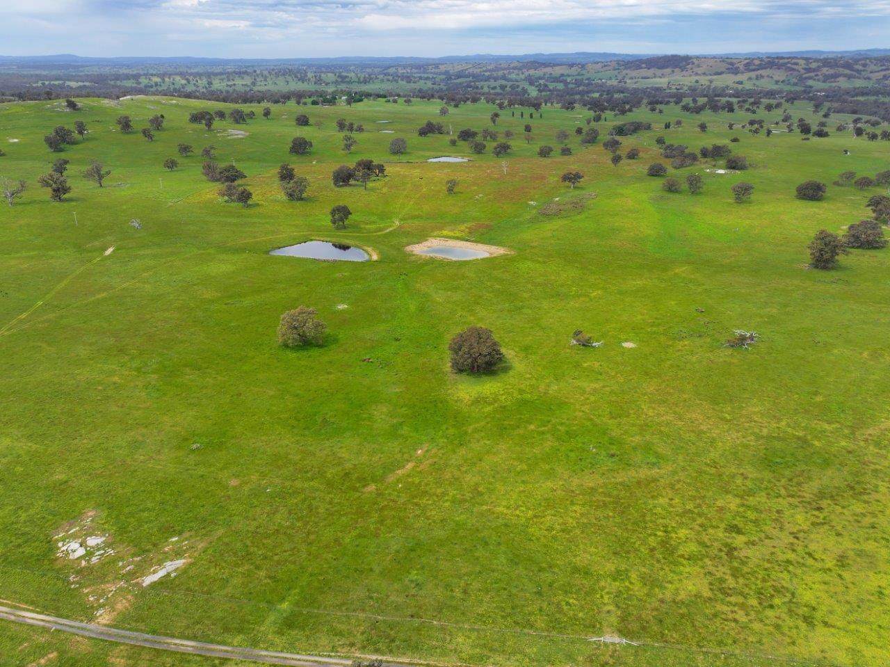 230 Metcalfe-Elphinstone Road, Elphinstone For Sale by Farmbuy.com - image 15