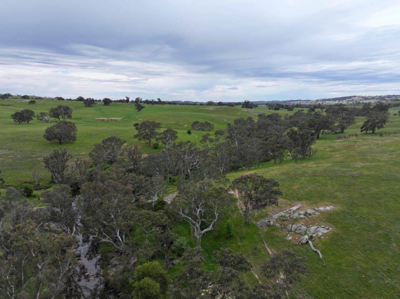 230 Metcalfe-Elphinstone Road, Elphinstone For Sale by Farmbuy.com - image 17