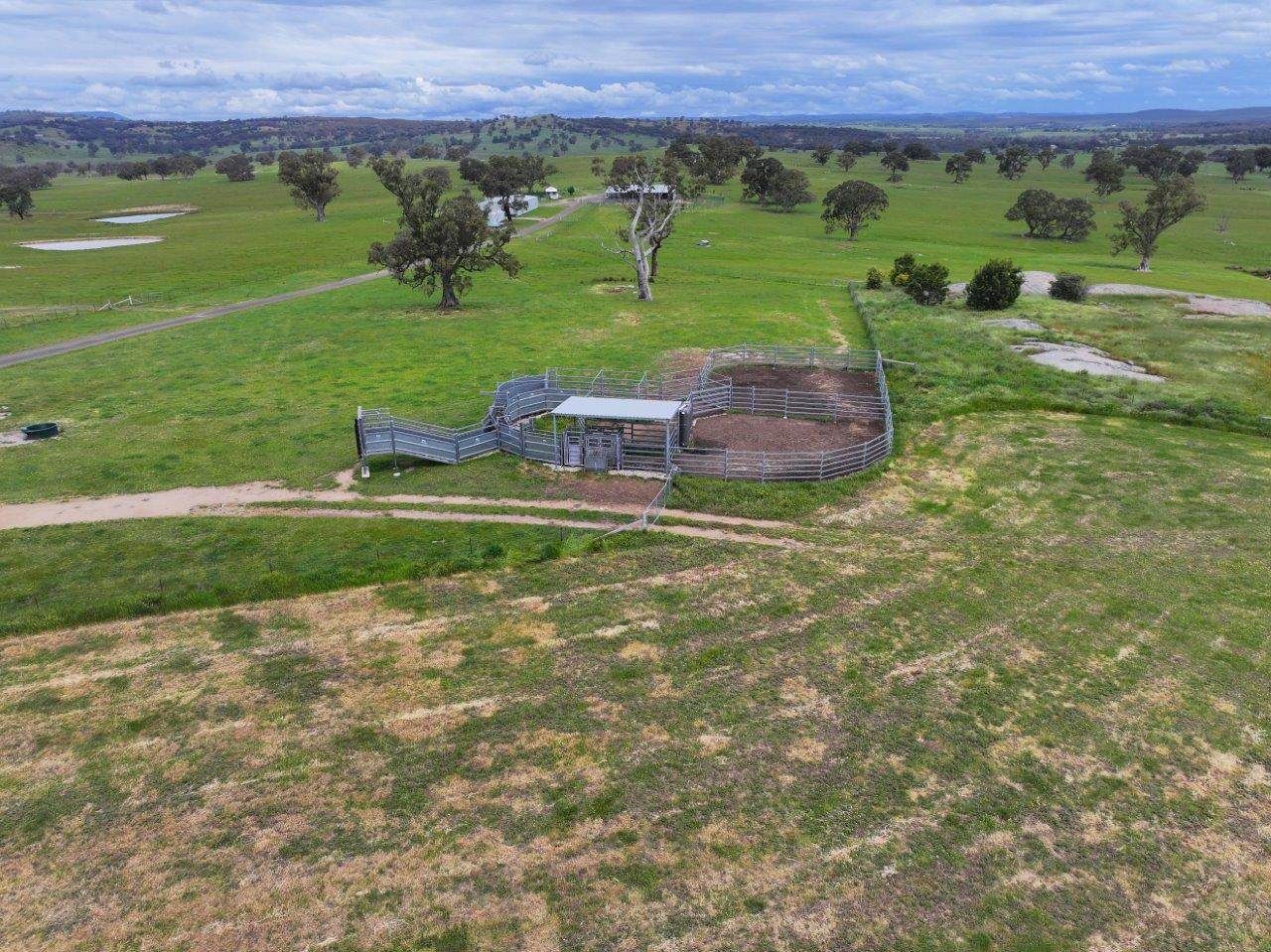 230 Metcalfe-Elphinstone Road, Elphinstone For Sale by Farmbuy.com - image 10
