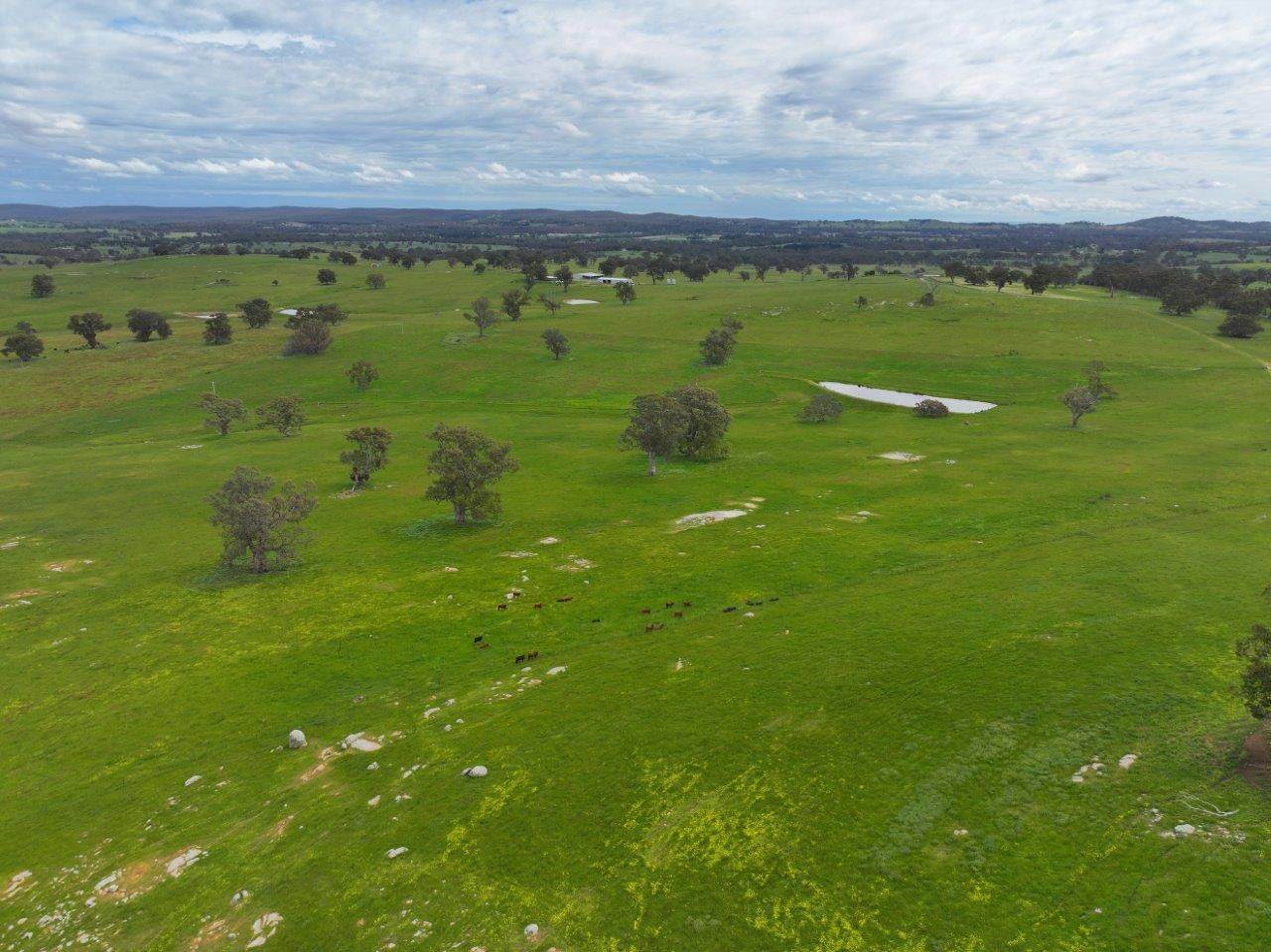 230 Metcalfe-Elphinstone Road, Elphinstone For Sale by Farmbuy.com - image 24