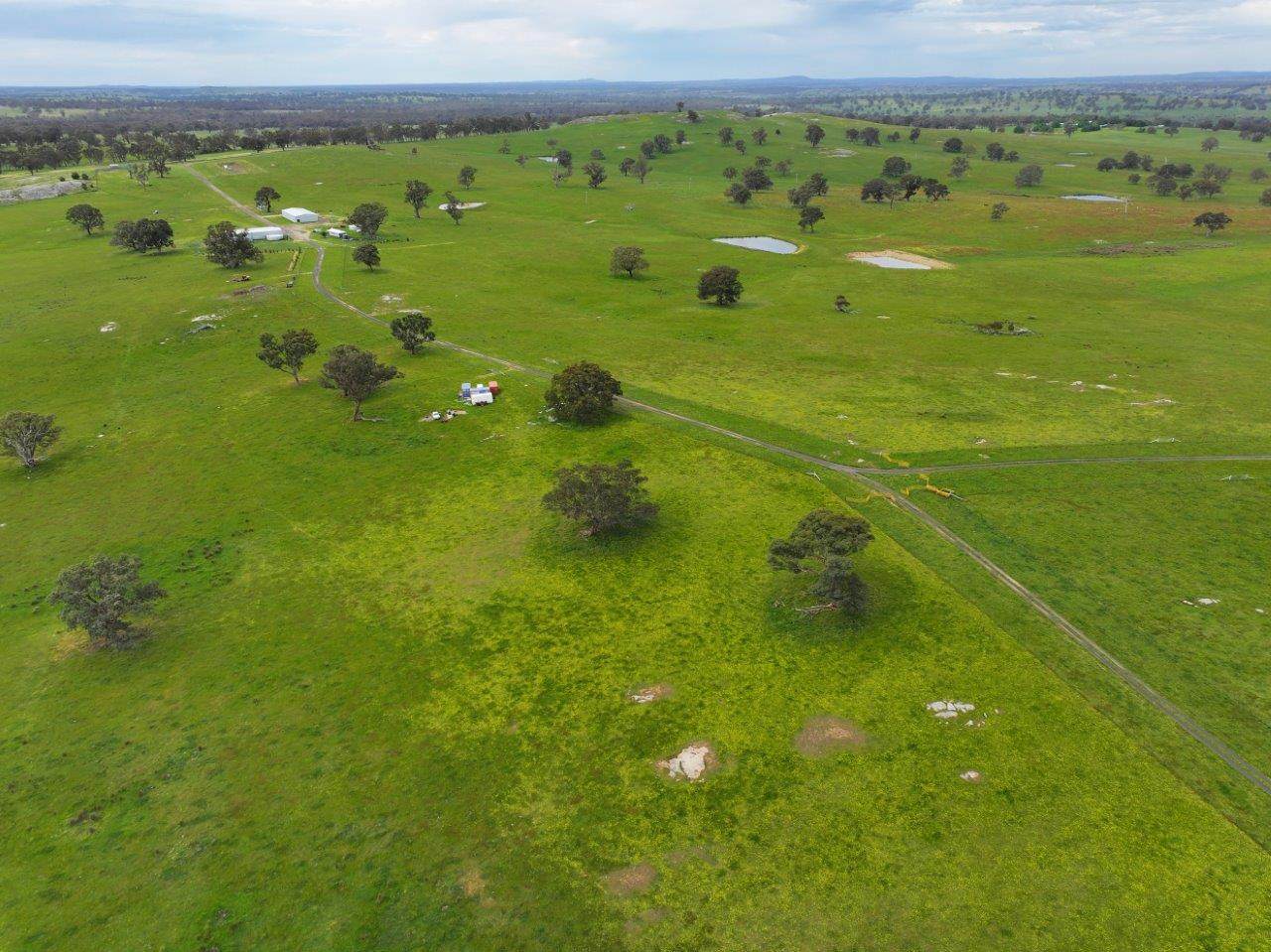 230 Metcalfe-Elphinstone Road, Elphinstone For Sale by Farmbuy.com - image 13