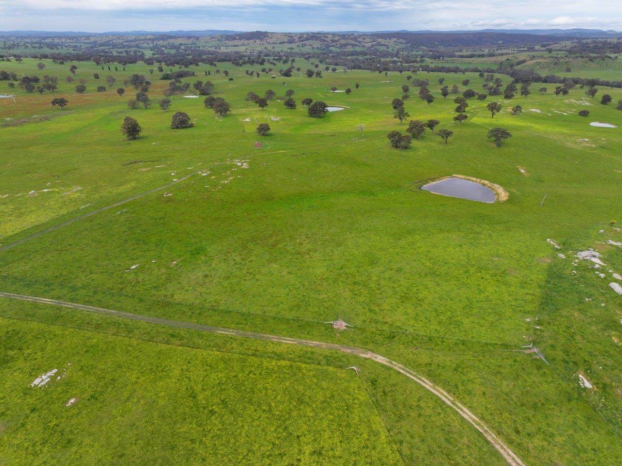 230 Metcalfe-Elphinstone Road, Elphinstone For Sale by Farmbuy.com - image 14