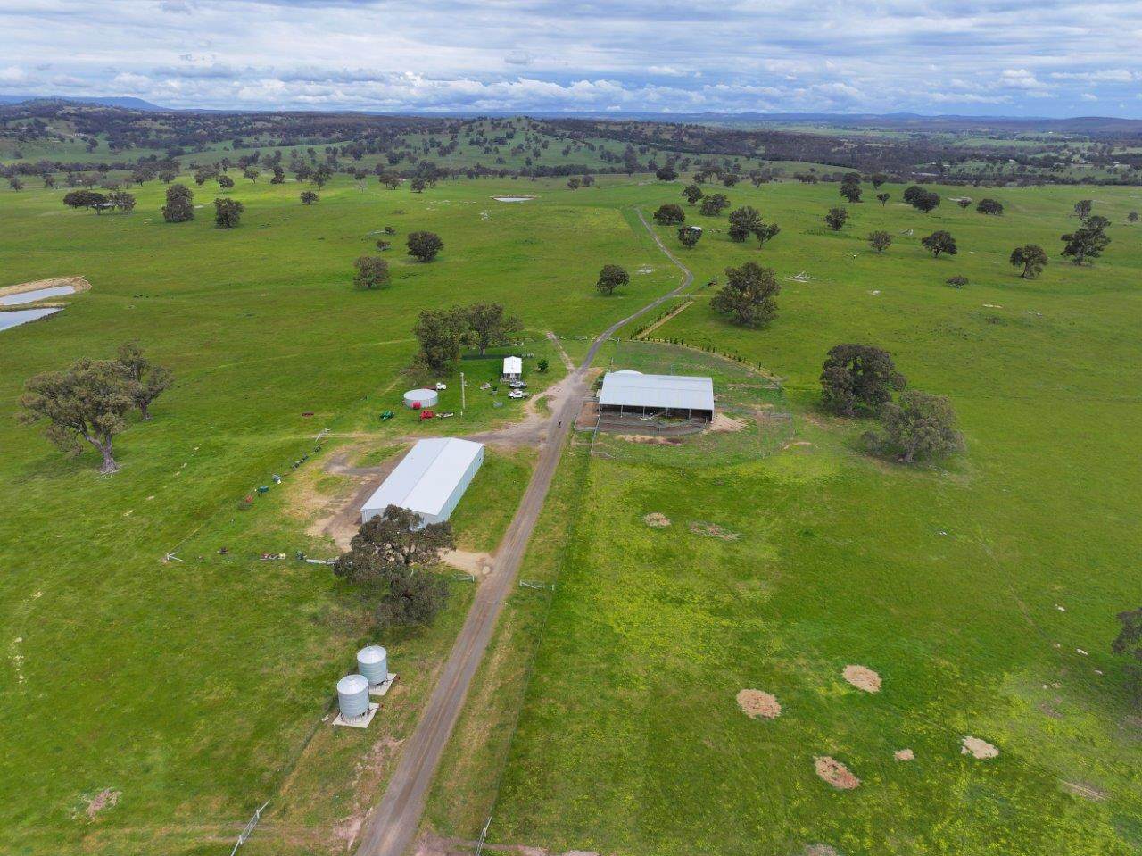 230 Metcalfe-Elphinstone Road, Elphinstone For Sale by Farmbuy.com - image 7