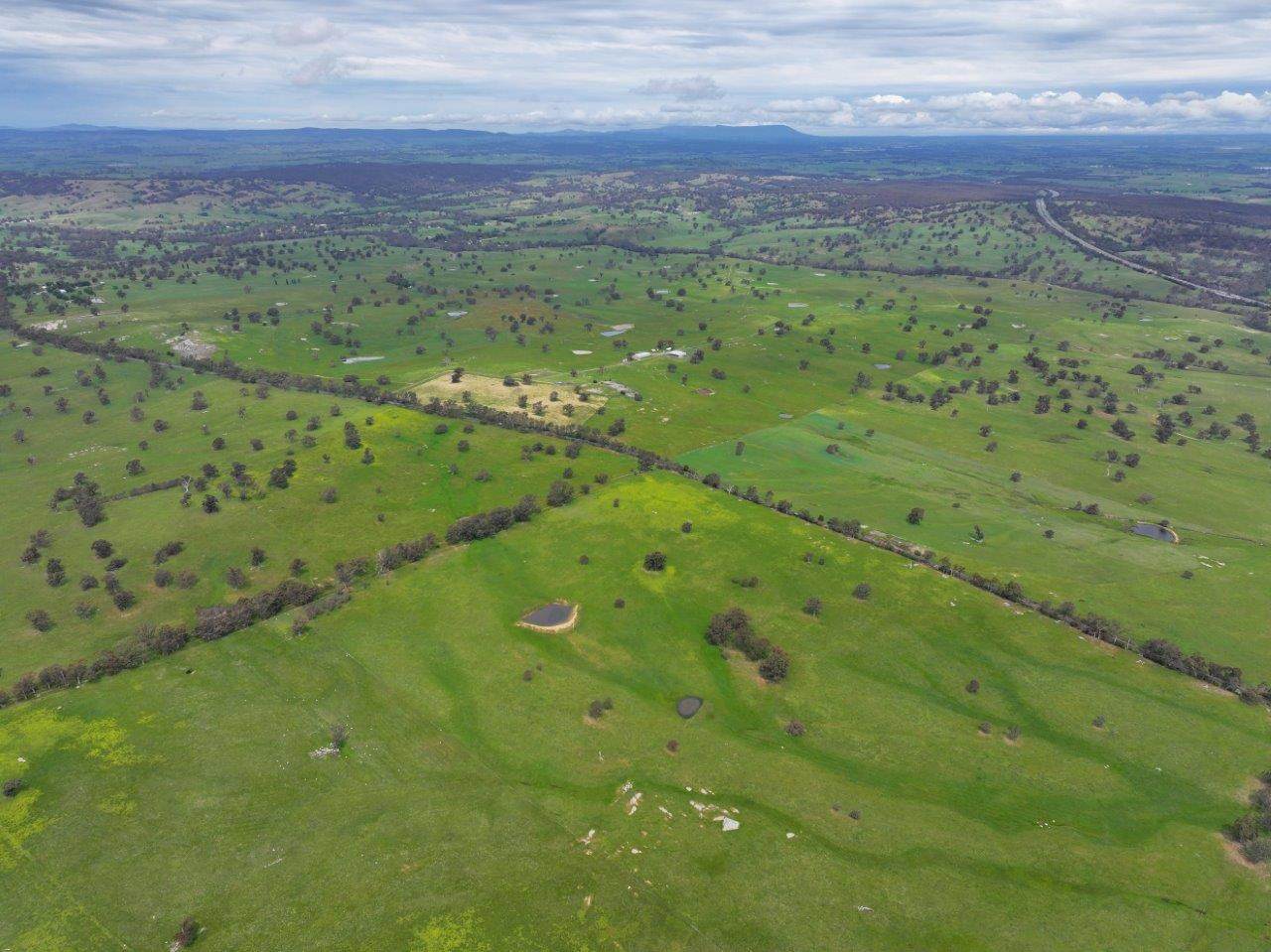230 Metcalfe-Elphinstone Road, Elphinstone For Sale by Farmbuy.com - image 21