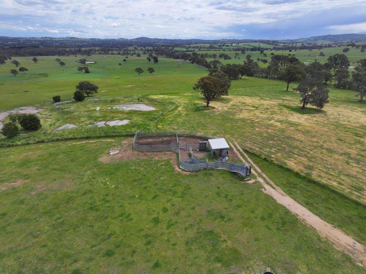 230 Metcalfe-Elphinstone Road, Elphinstone For Sale by Farmbuy.com - image 9