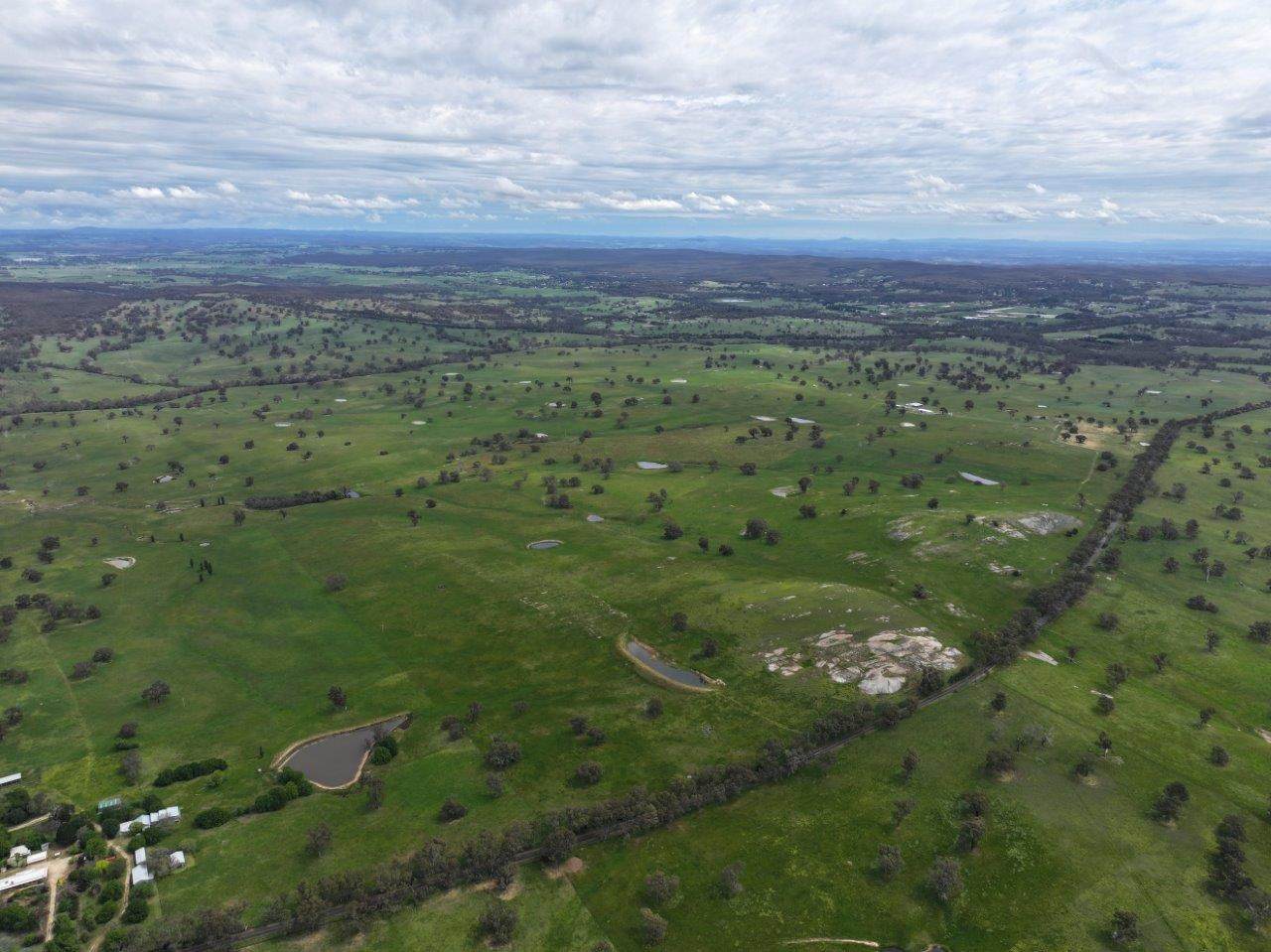 230 Metcalfe-Elphinstone Road, Elphinstone For Sale by Farmbuy.com - image 12