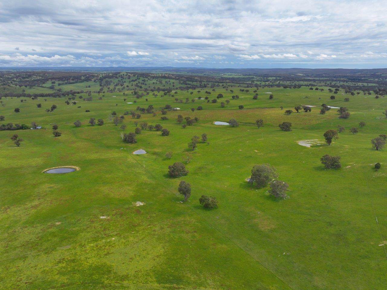 230 Metcalfe-Elphinstone Road, Elphinstone For Sale by Farmbuy.com - image 22