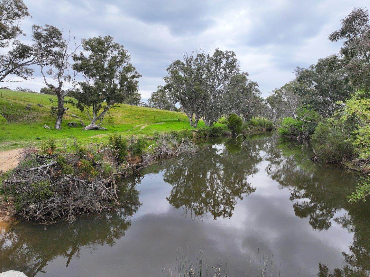 230 Metcalfe-Elphinstone Road, Elphinstone For Sale by Farmbuy.com - image 19