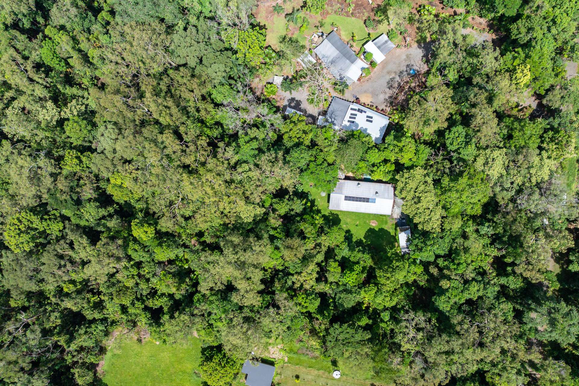 10 Quandong Road, Cow Bay, Daintree For Sale by Farmbuy.com - image 16