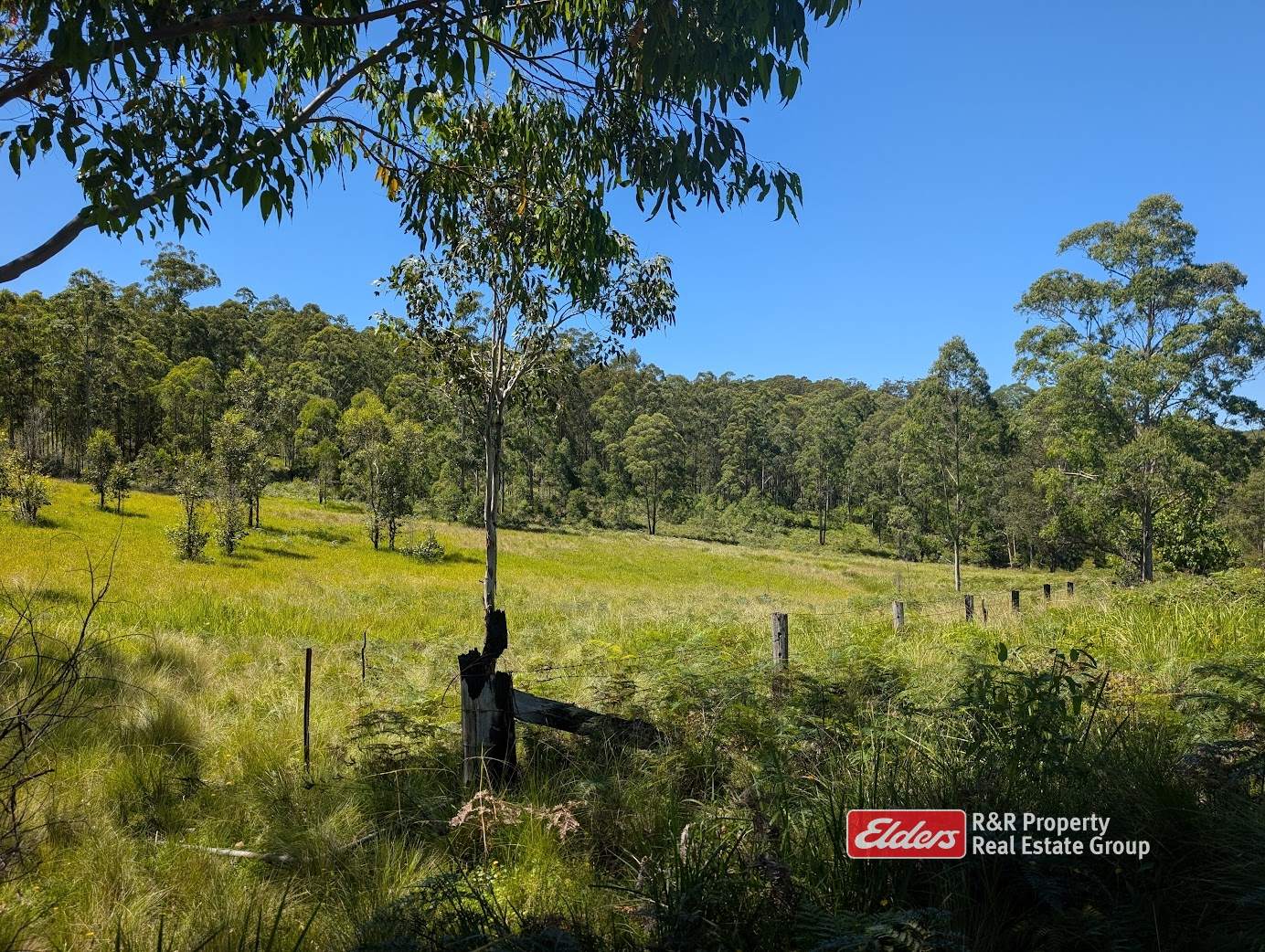 Off Thunderbolts Way, MARES RUN Via, Gloucester For Sale by Farmbuy.com - image 9