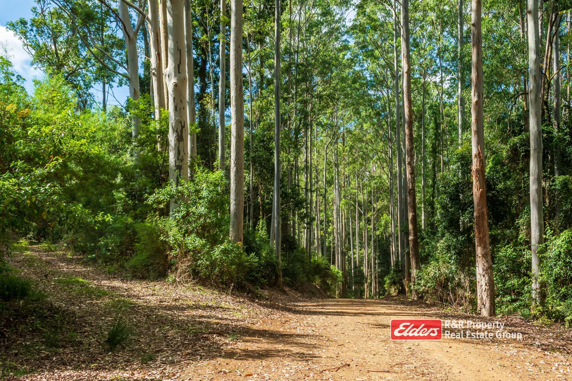 Off Thunderbolts Way, MARES RUN Via, Gloucester For Sale by Farmbuy.com - image 3