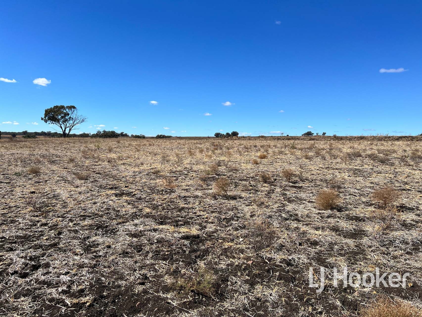 Lot 154,  Leaders Lane, Inverell For Sale by Farmbuy.com - image 6