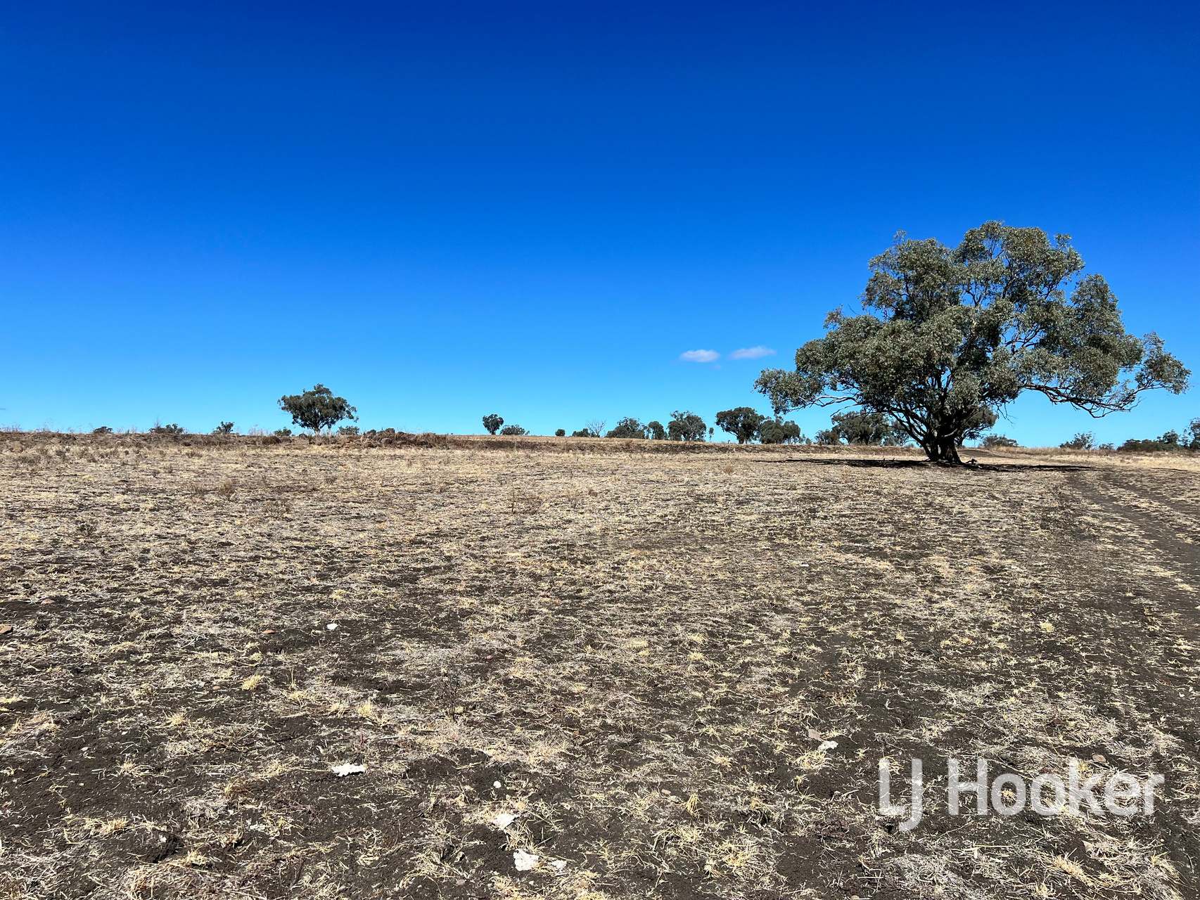 Lot 154,  Leaders Lane, Inverell For Sale by Farmbuy.com - image 1