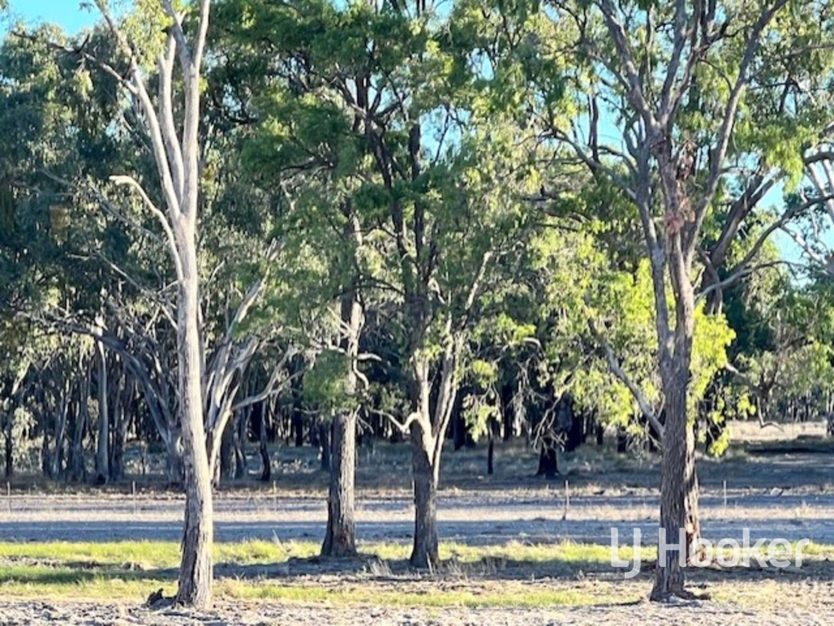 296 Limestone Road, Inverell For Sale by Farmbuy.com - image 13
