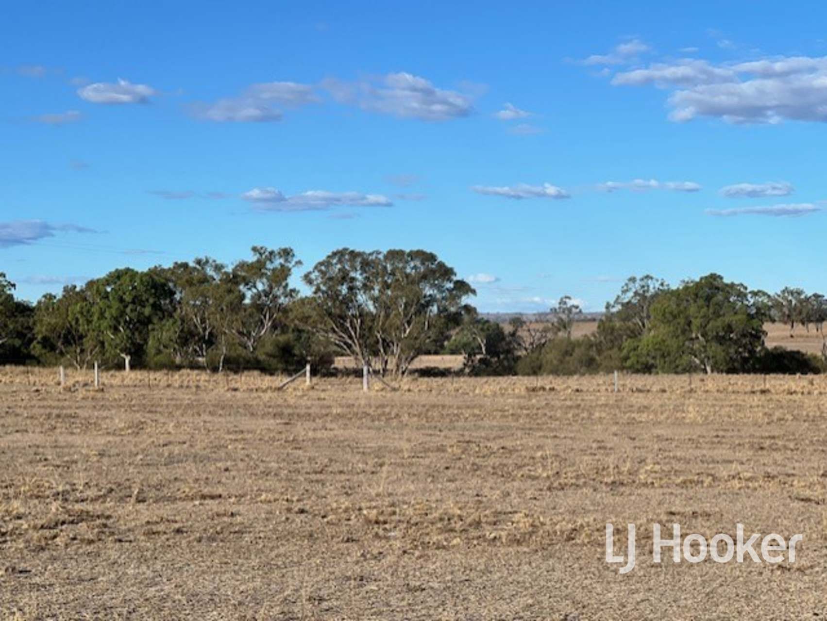 296 Limestone Road, Inverell For Sale by Farmbuy.com - image 20