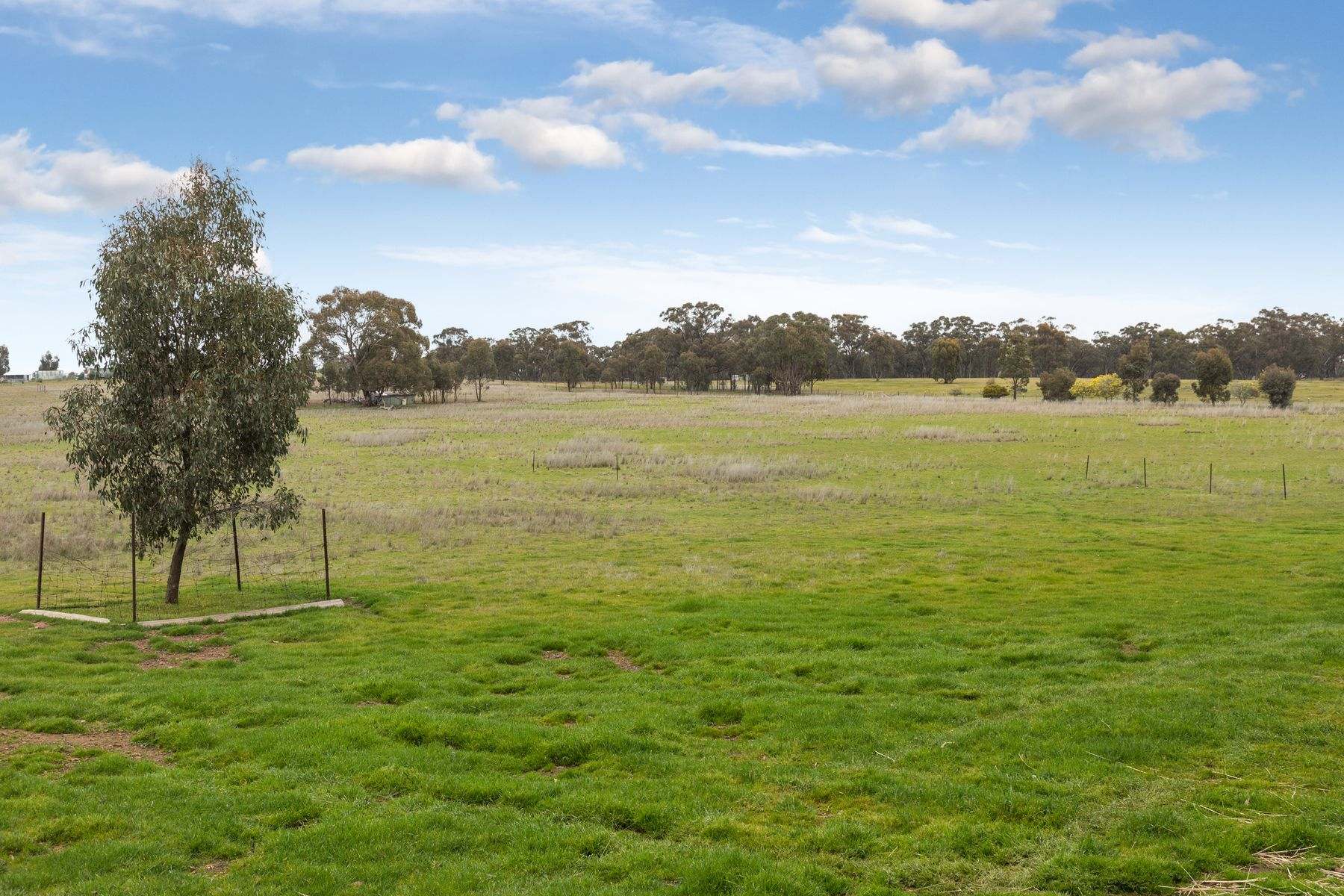 CA 25 Kamarooka Drive, Kamarooka For Sale by Farmbuy.com - image 5