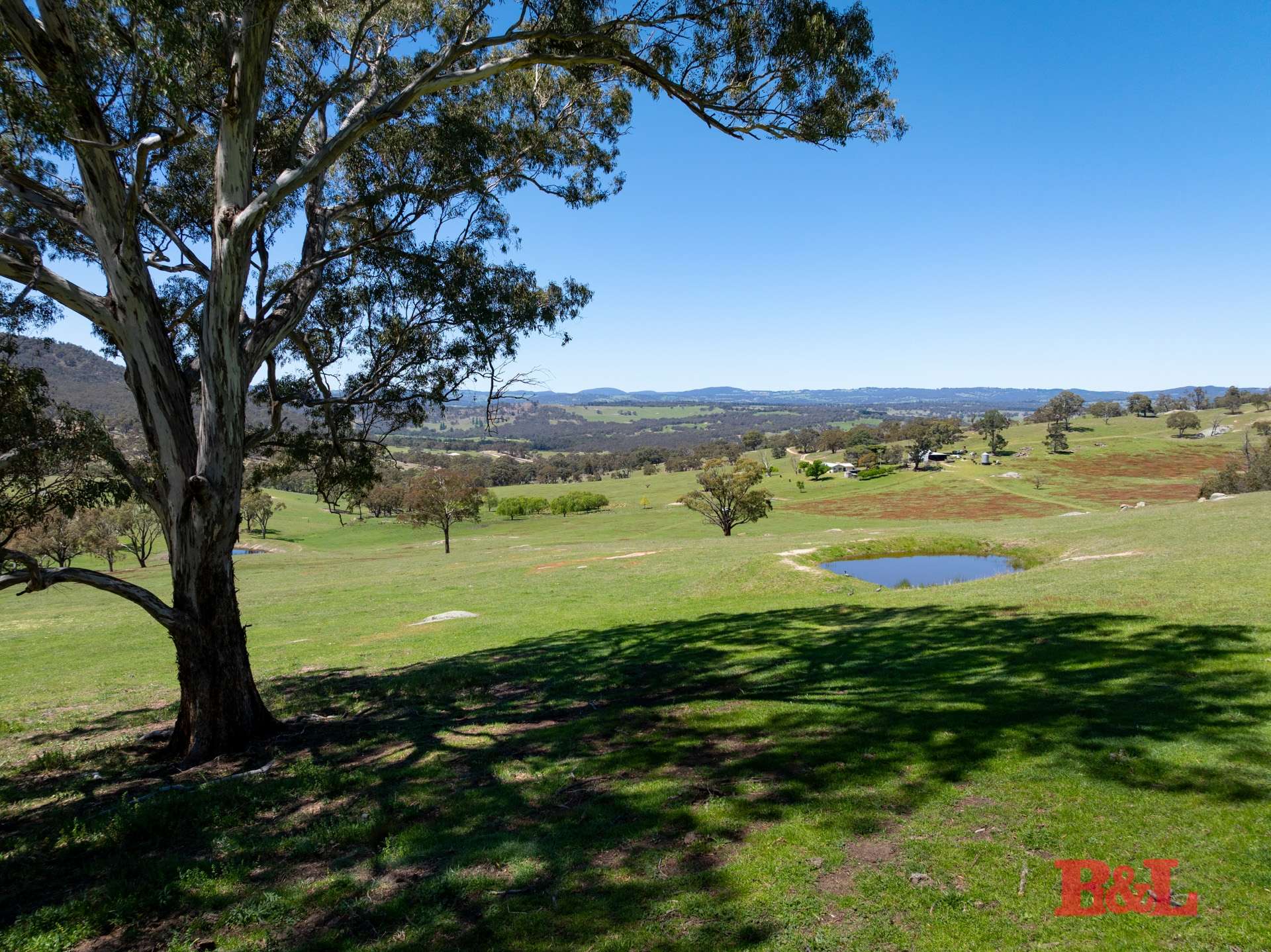1977 Tarana Road, Gemalla For Sale by Farmbuy.com - image 2