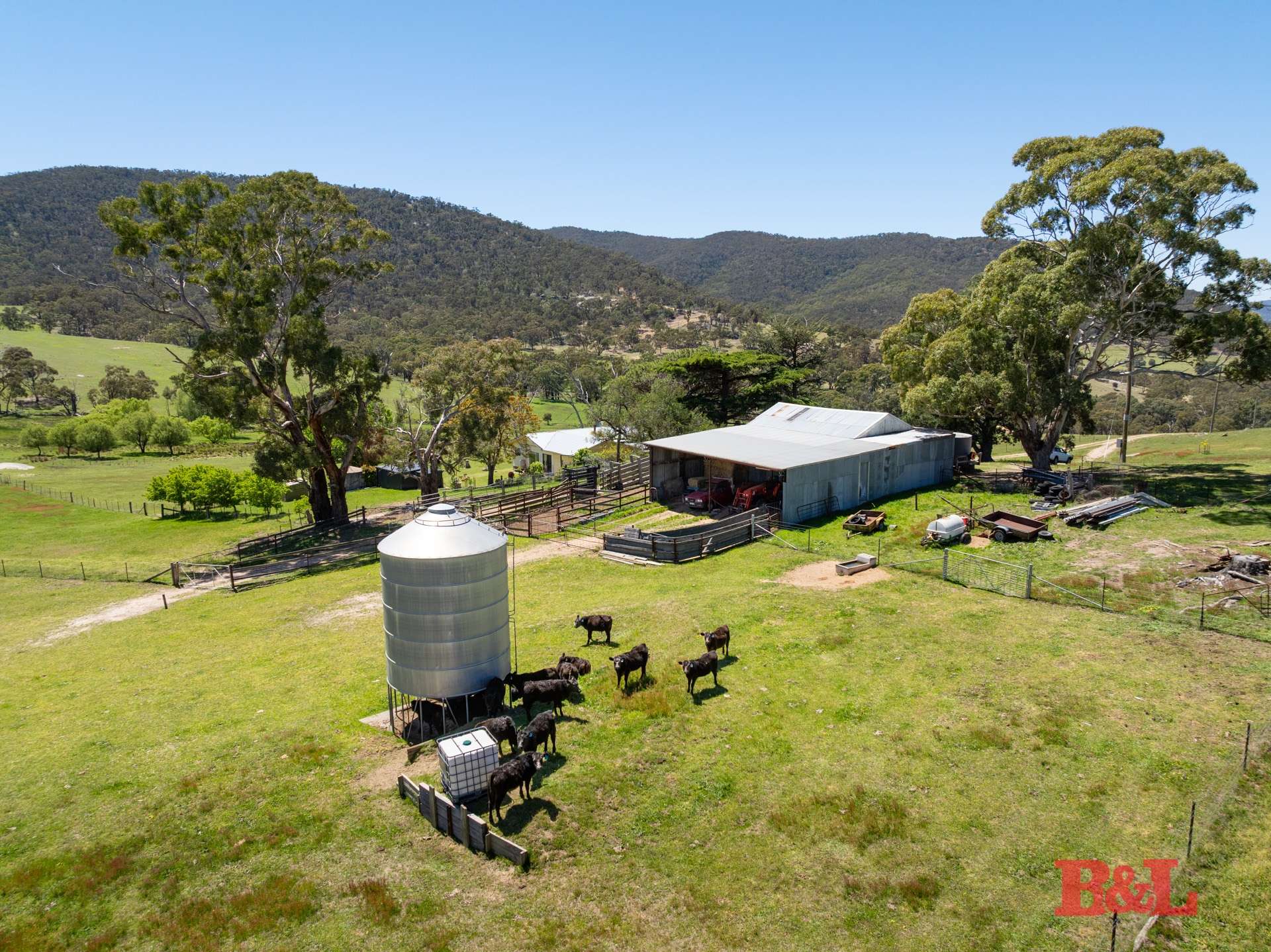 1977 Tarana Road, Gemalla For Sale by Farmbuy.com - image 20