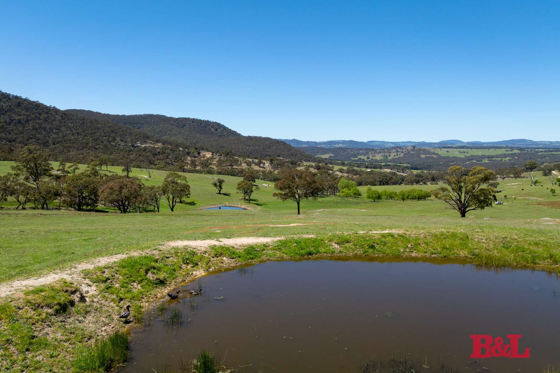 1977 Tarana Road, Gemalla For Sale by Farmbuy.com - image 32