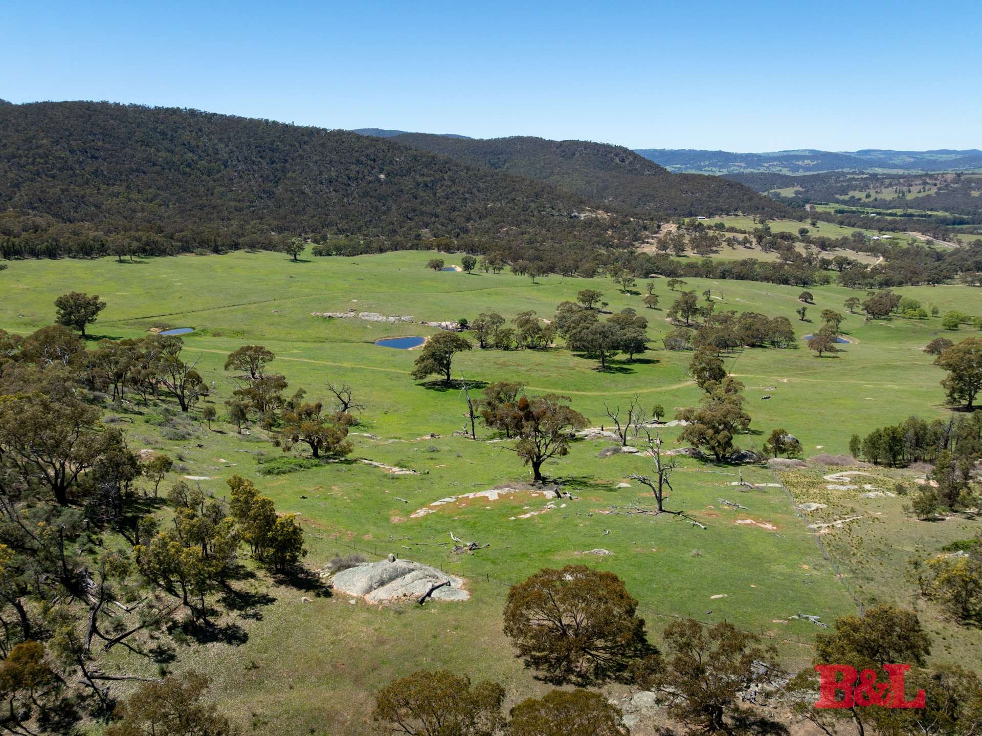 1977 Tarana Road, Gemalla For Sale by Farmbuy.com - image 29