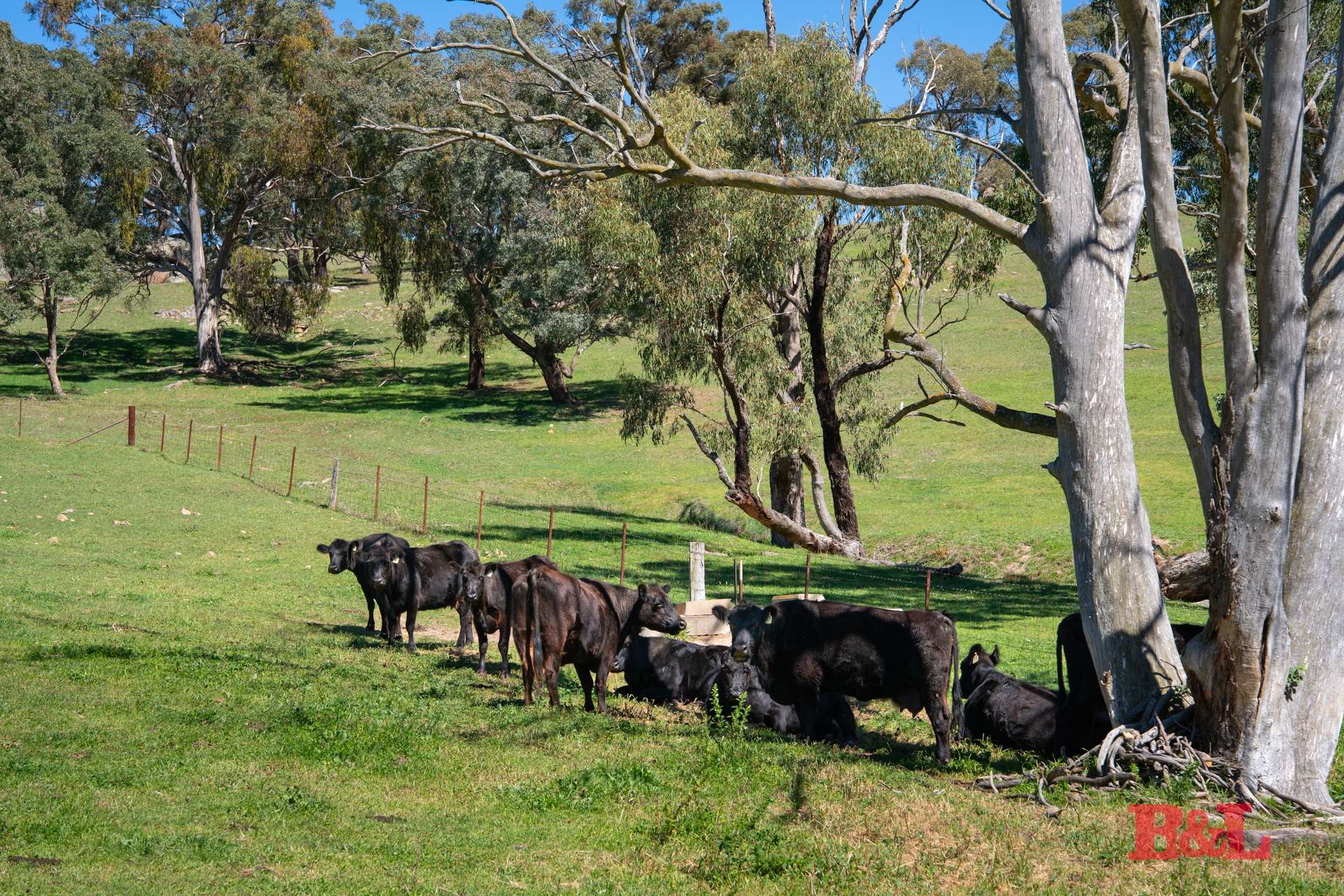 1977 Tarana Road, Gemalla For Sale by Farmbuy.com - image 25