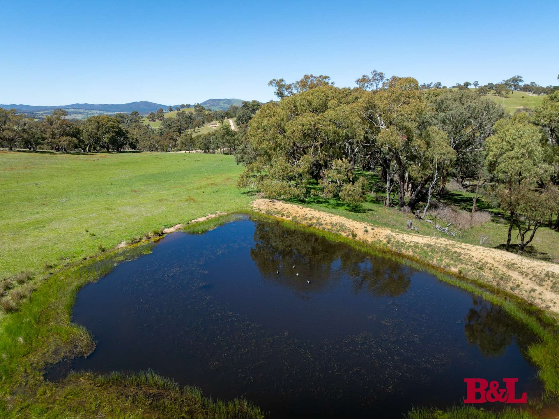 1977 Tarana Road, Gemalla For Sale by Farmbuy.com - image 7