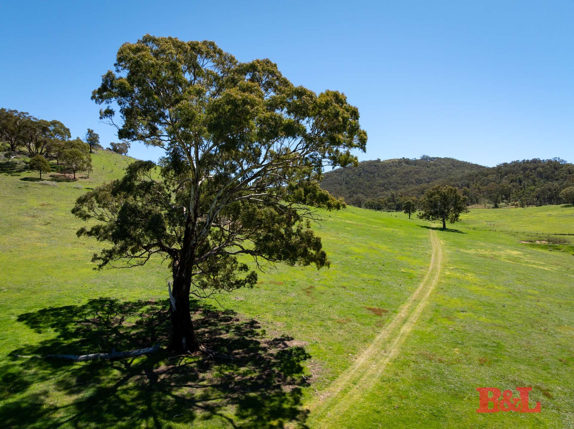 1977 Tarana Road, Gemalla For Sale by Farmbuy.com - image 6
