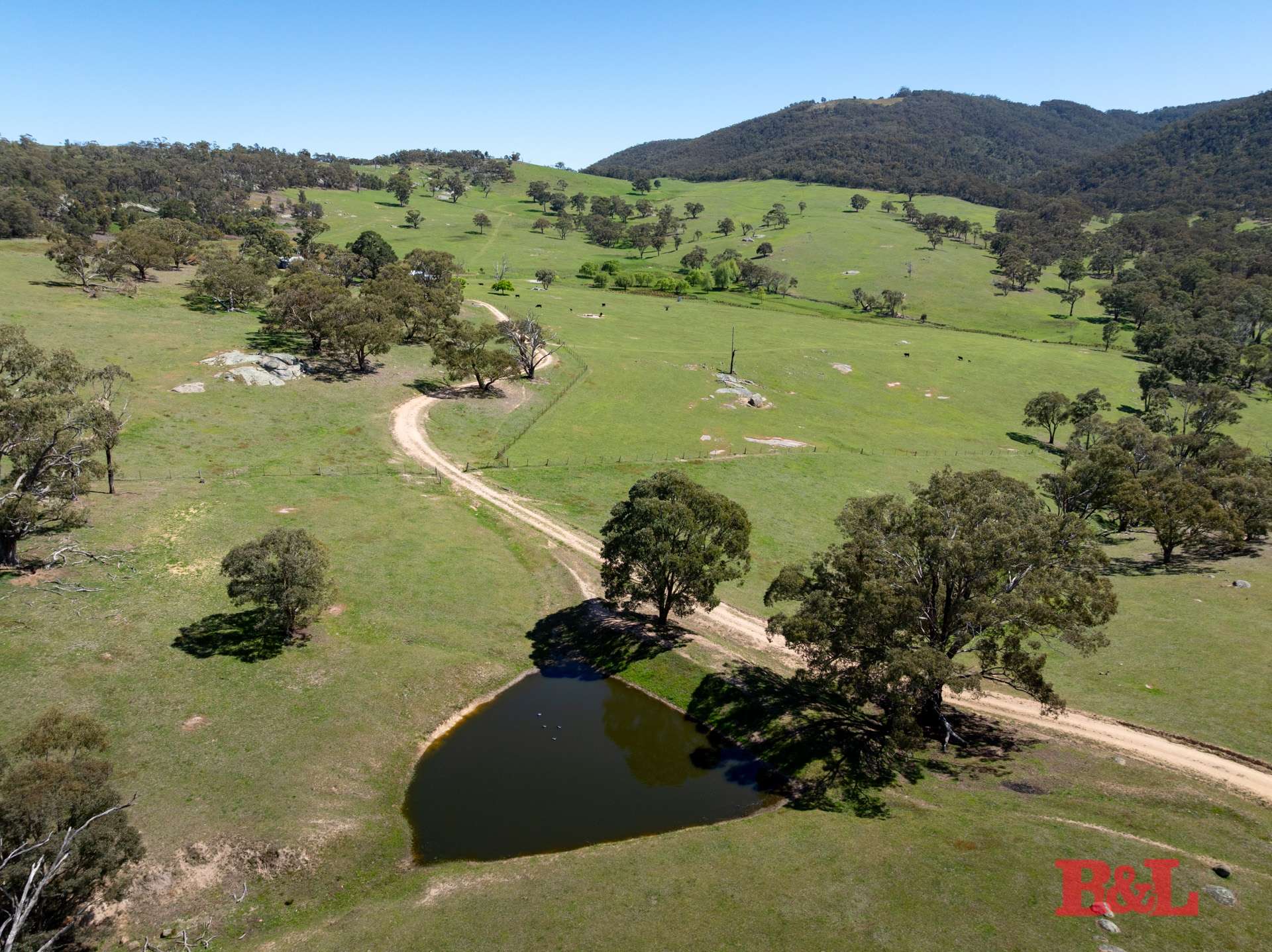 1977 Tarana Road, Gemalla For Sale by Farmbuy.com - image 5