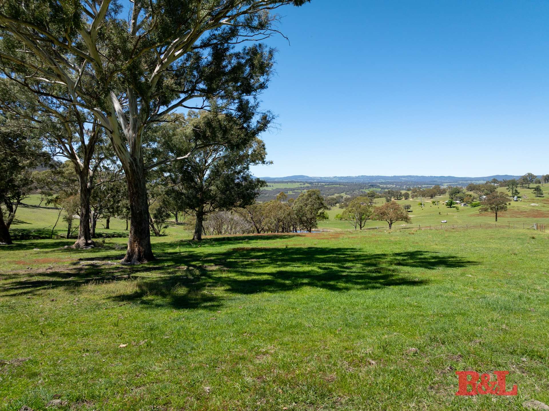 1977 Tarana Road, Gemalla For Sale by Farmbuy.com - image 31