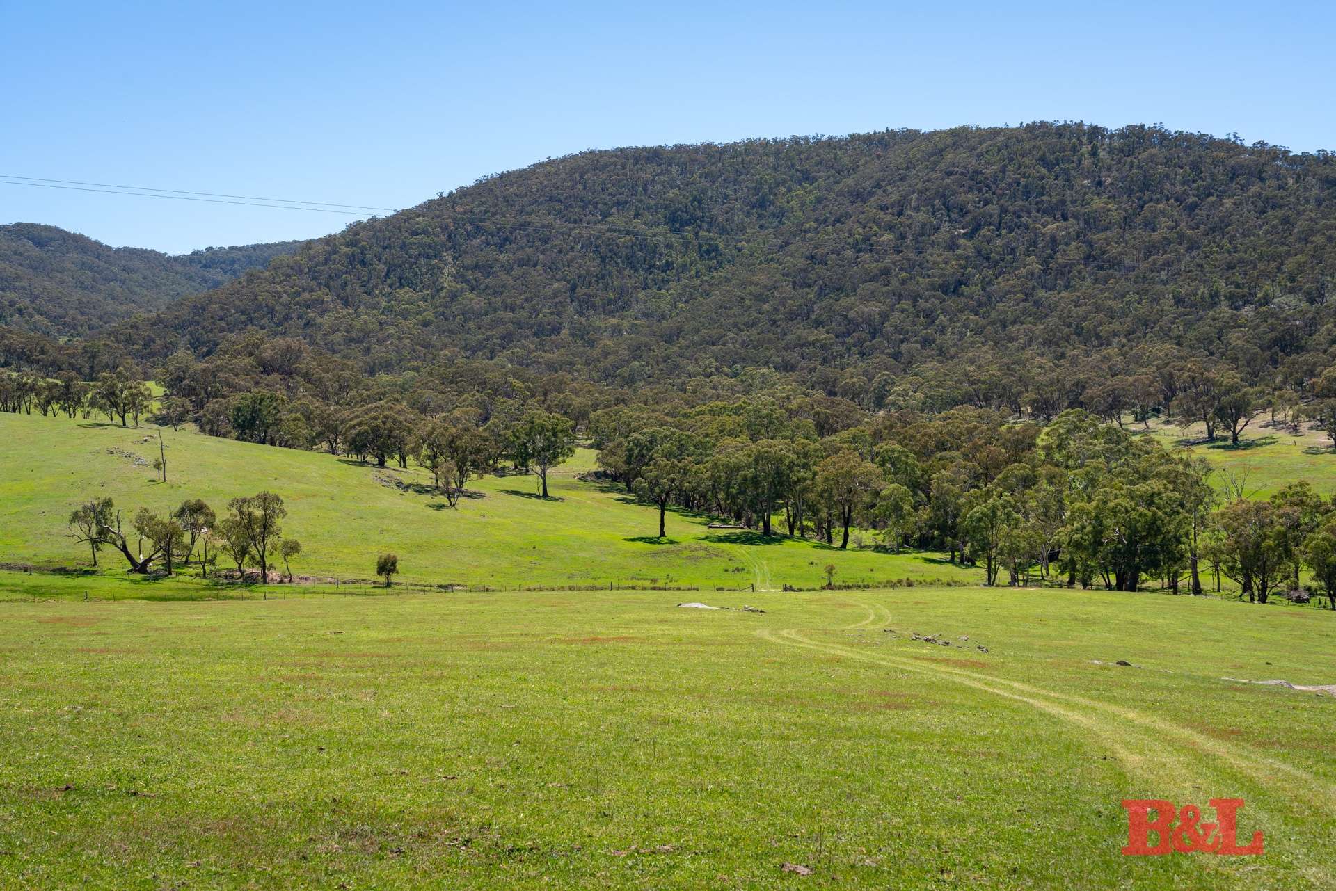 1977 Tarana Road, Gemalla For Sale by Farmbuy.com - image 8